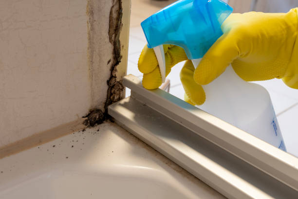 Best Crawl Space Mold Removal  in El Cerrito, CA