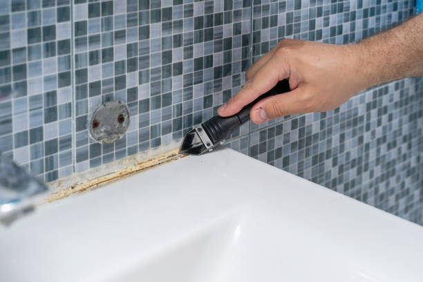 Best Mold Cleaning Services  in El Cerrito, CA